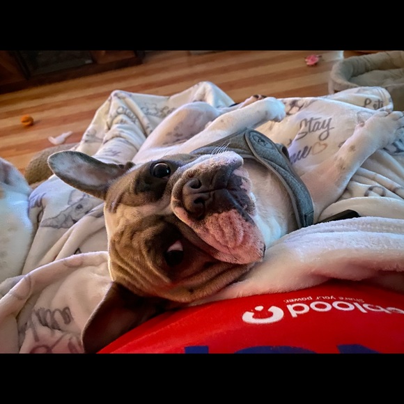 Meet your Posher, Tracy - Picture 4 of 11